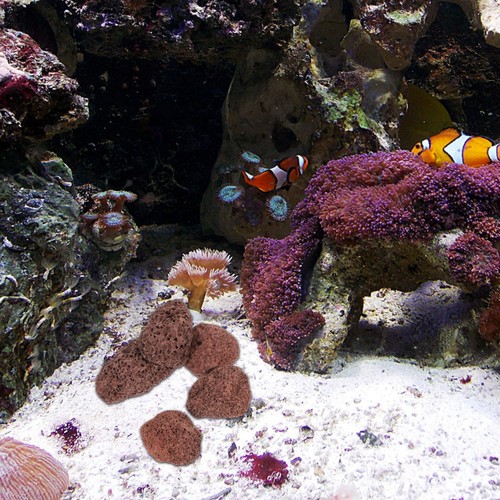Bag aquariums volcanic - 1, of