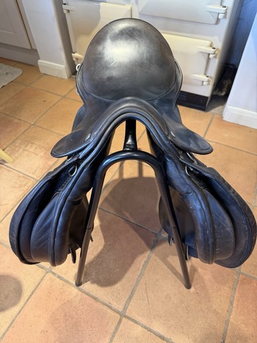 Horse saddle english - horse,
