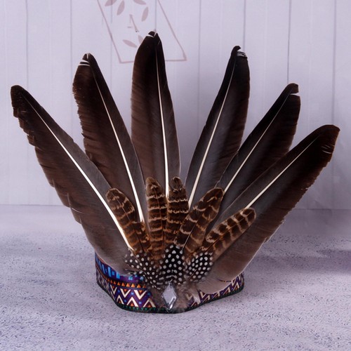 Feather headdress native - feather,