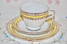 Rare Salisbury Fine Bone China