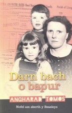 Darn Bach o Bapur Paperback