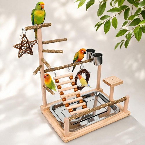 Xygobla wooden bird playground - xygobla,