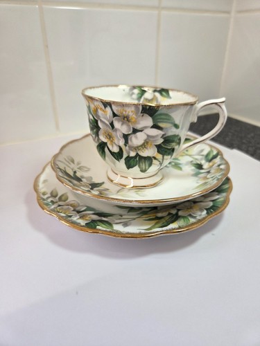 Royal albert orange - royal, blossom