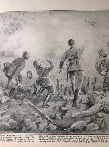 52606 ephemera 1916 - book, plate
