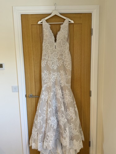 Suzanne neville kassia wedding - suzanne,