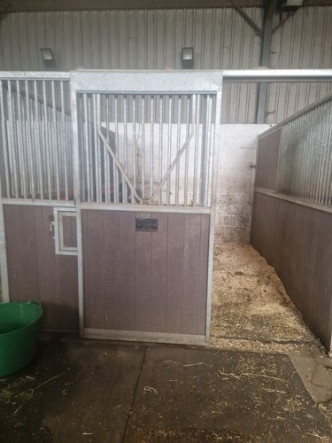 Internal monarch horse - 12,