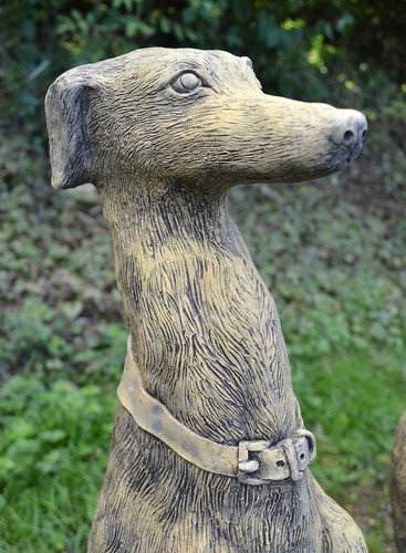 Pair whippet dog - pair,