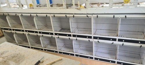 Canary finch upvc double - finch,