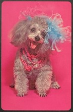 Poodle Dog Vintage Single Swap Playing Card
