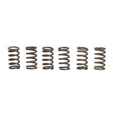 6 Clutch Springs EBC