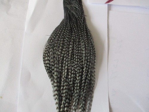 Metz premium cock cape - cock,