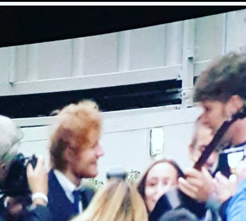 Sheeran lx1e martin - sheeran,