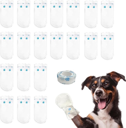 Dog boots for injured paws - dog,