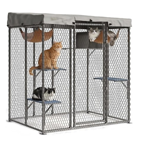 Outdoor cat house - cat,
