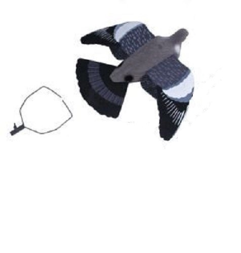 Ultimate pigeon decoy with - pigeon,