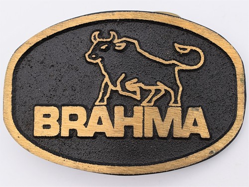 Brahma bull pickup truck - bull,