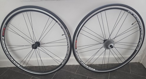 Campagnolo khasium 700c - khasium, g3