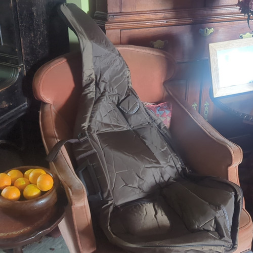 Full size cello gig - 'cello,