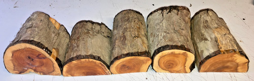 Half logs 5pcs lot - 5pcs, yew