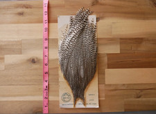 New Metz ROOSTER CAPE NECK