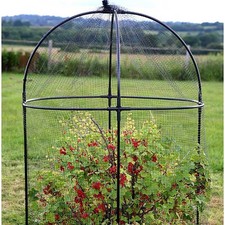 Haxnicks Steel Round Fruit Cage W100cm H150cm