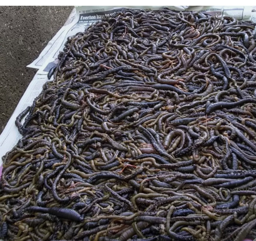 250g approx salted - 2,