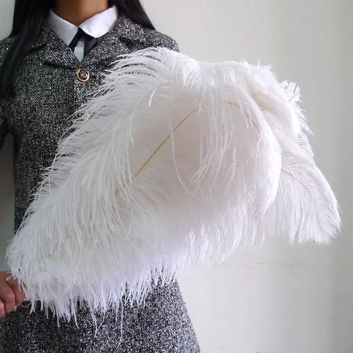 Wholesale 100pcs ostrich - 10/50/100pcs,
