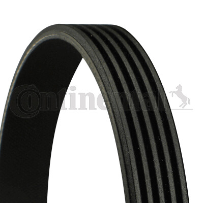 Continental ctam 5pk1165 - continental,
