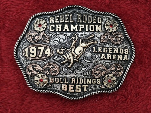 Bull riding - bull,