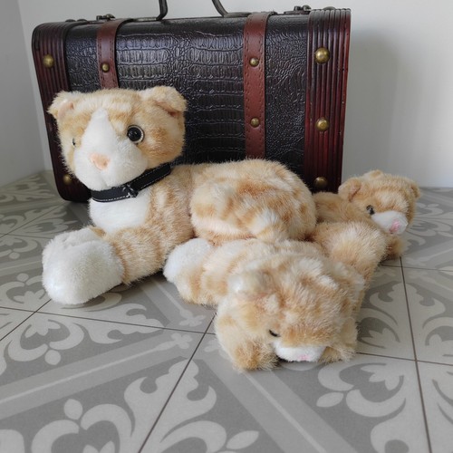 Toys cat kittens plush - us,