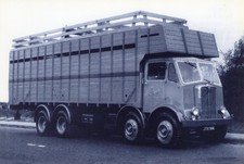B/W PHOTO: ATTESTED CATTLE AEC MAMMOTH MAJOR 8 WHEEL LIVESTOCK TRANSPORT