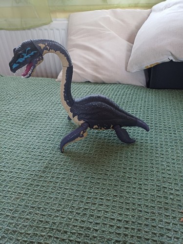 Chap mei elasmosaurus - chap,