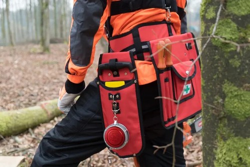 Oregon forestry arborist - oregon, tool