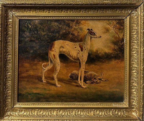 English school greyhound - school,