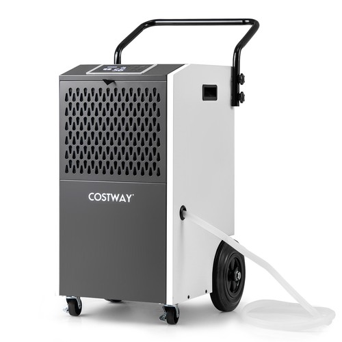 Costway day commercial - l/day,