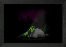 Praying Mantis Framed Wall Art