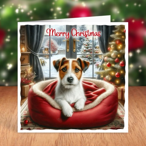 Jack russell terrier dog - jack,