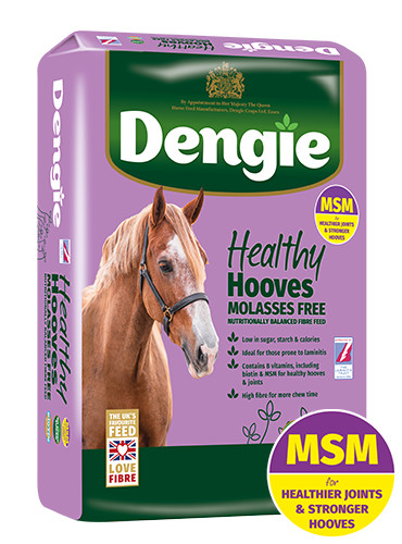 Dengie healthy hooves molasses - dengie,