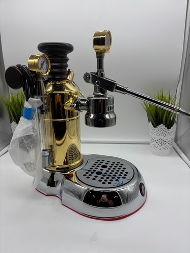 Pavoni esperto competente - la,