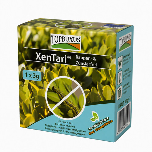 Topbuxus box hedge - hedge, caterpillar