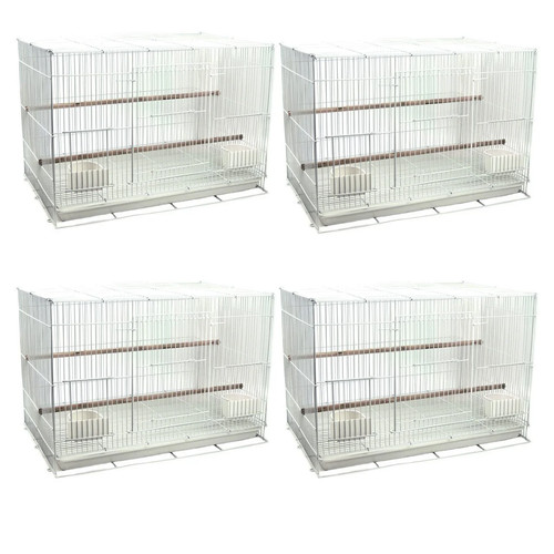 Little friends sealey budgie - little,