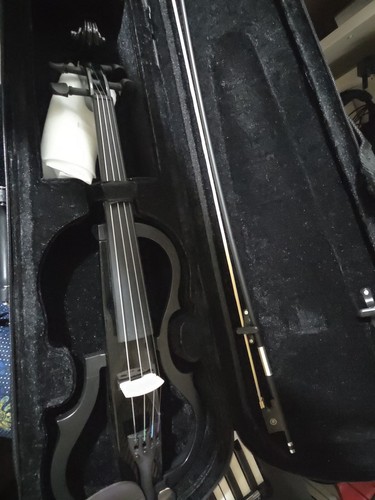Harley benton electric - benton, violin