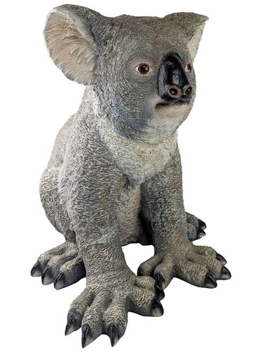 54cm koala life size - koala,