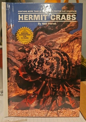 Land hermit crabs neal - land,
