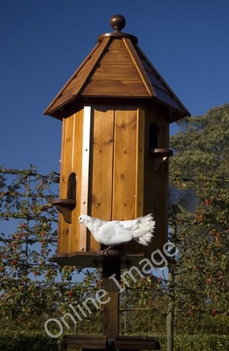 Photo 6x4 dovecote the - dovecote, in