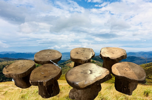 Teak root small table medium - small,