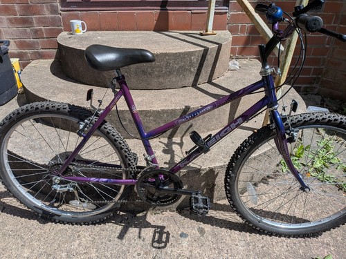 Raleigh enigma mountain bike - enigma,