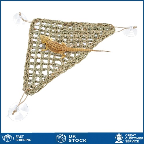 Reptile lounger and - reptile,