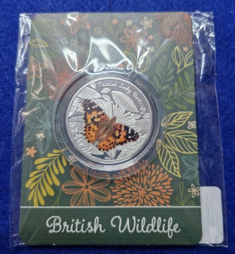 Painted lady butterfly - butterfly,