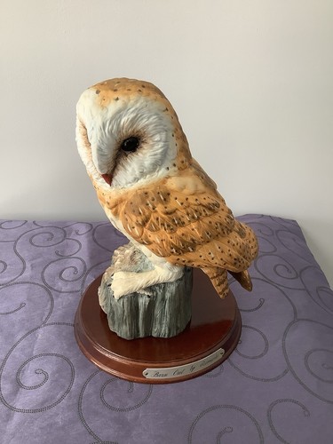 Leonardo collection barn owl - leonardo,